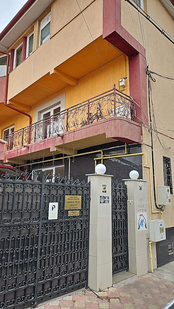 portofoliu camin batrani